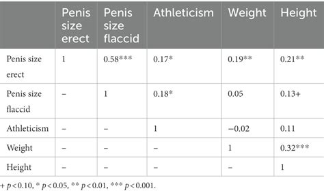 File:Flaccid and Erect Size Comparison.jpg